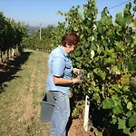 Bed & Breakfast Cantine Pietronero