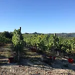 Cantine Pietronero Orsara Bormida