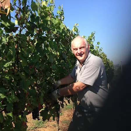 Frühstückspension Cantine Pietronero 3*