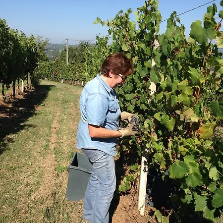 Oda ve Kahvaltı Cantine Pietronero