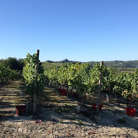 Cantine Pietronero Orsara Bormida