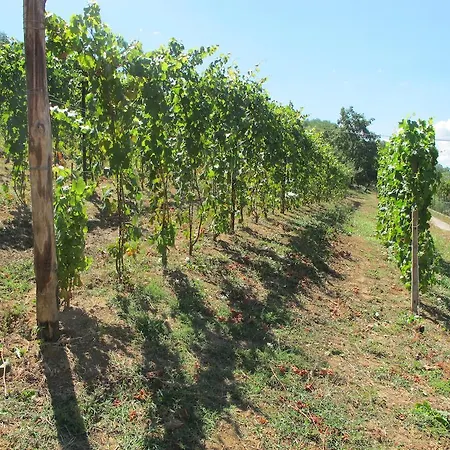 Cantine Pietronero Orsara Bormida