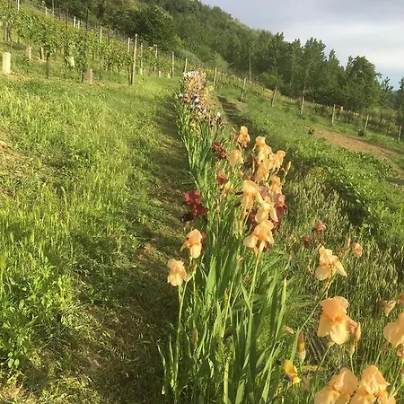 B&B Cantine Pietronero
