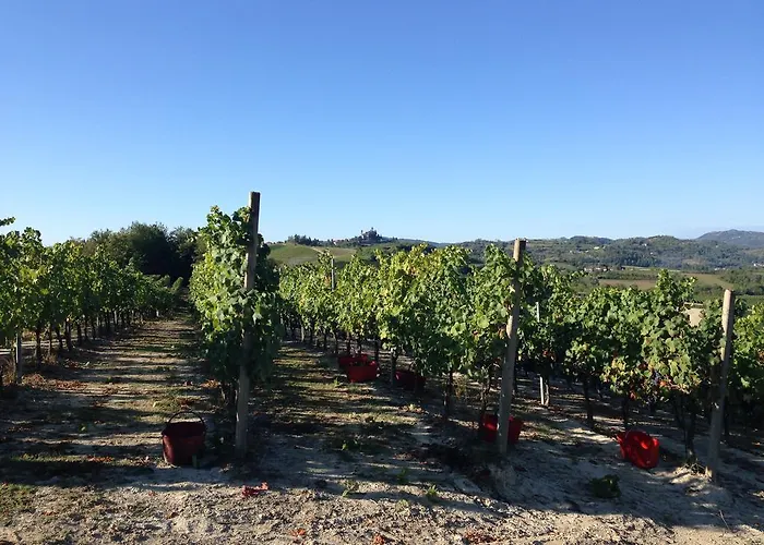 Cantine Pietronero Orsara Bormida