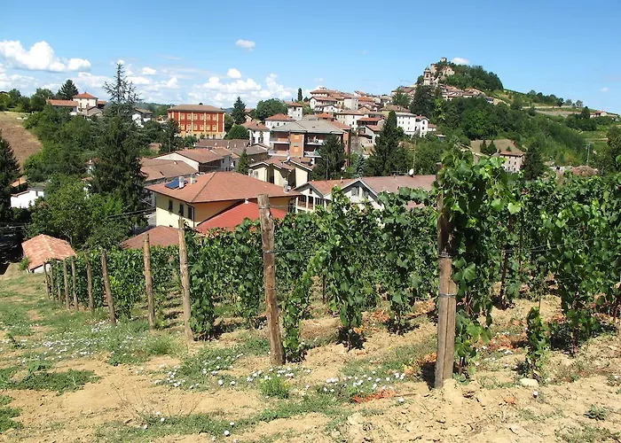 Cantine Pietronero