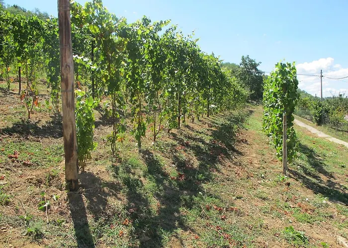 Cantine Pietronero Orsara Bormida